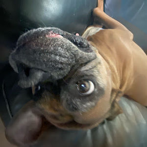 Meet your Posher, Ryan